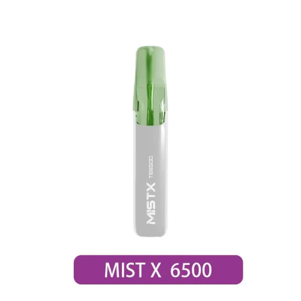 【MISTX】TE6500 鴨嘴一次性電子煙|真實飲料風味